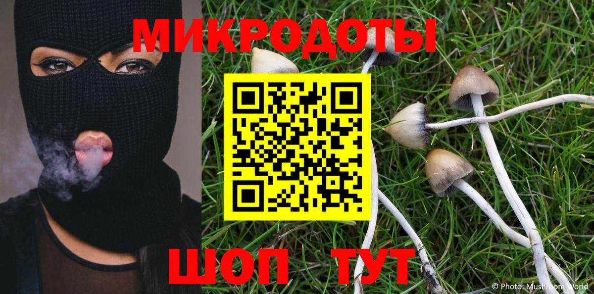 Псилоцибиновые грибы мухоморы Алапаевск